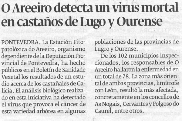 O Areeiro detecta un virus mortal en castaos de Lugo e Ourense