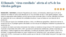 The 'leaf roll virus' affects around 12% of the Galician vineyards