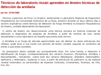 Technicians from La Rioja laboratory learn techniques for Armillaria detection