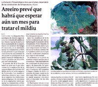 Mildew treatment will be initiated in a month according to Areeiro predictions