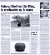 Natural Kiwifruit from Miño, the production is the key