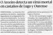 Areeiro detects a mortal virus on Lugo and Ourense chestnuts