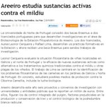 Areeiro studies active substances against mildew