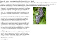 Curso de verano sobre la problemática fitosanitaria en el viñedo