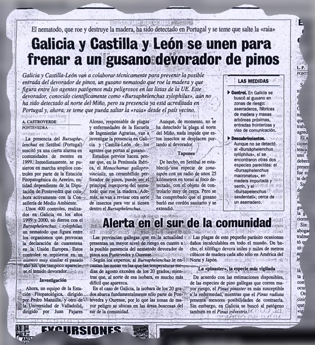 Galicia e Castela e Len nense para frear un verme devorador de pieiros