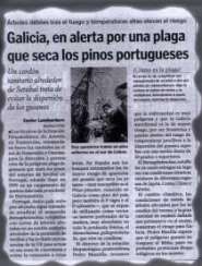 Galicia alarmed by a pest affecting Portuguese pines.