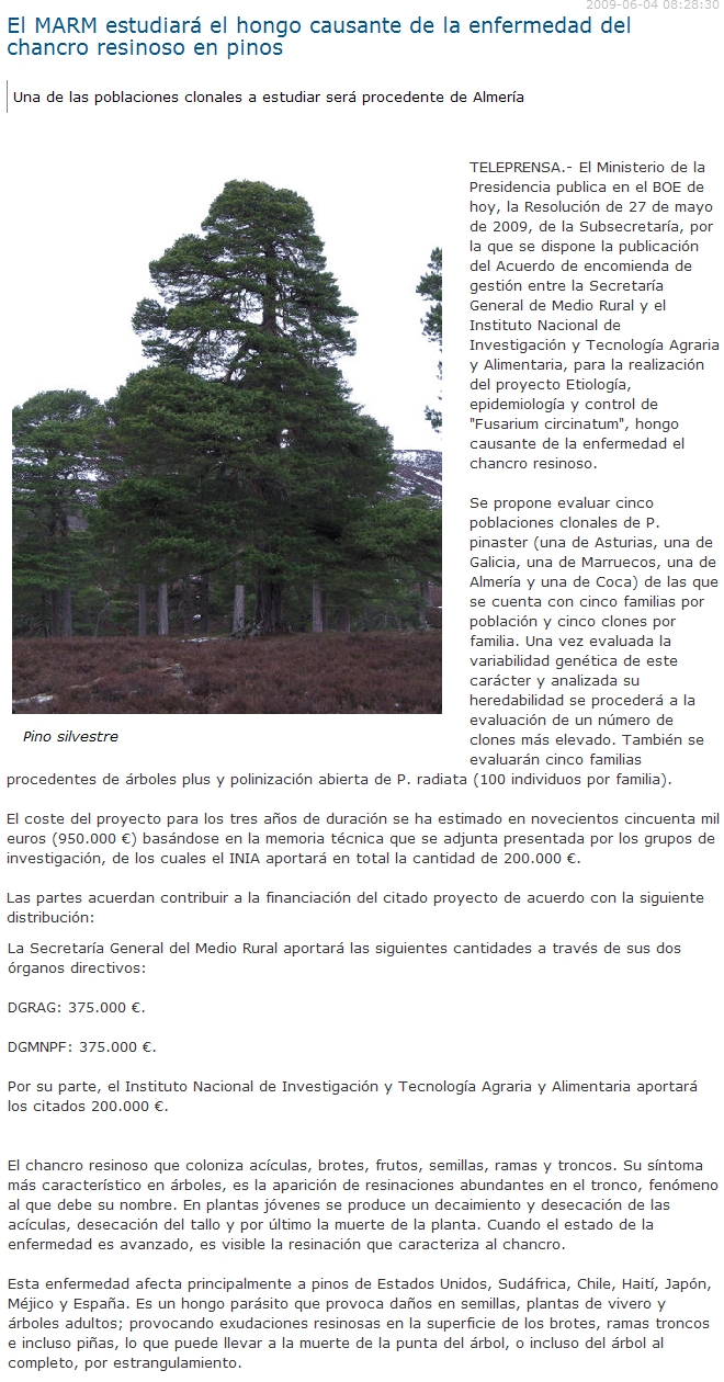 El MARM estudiar el hongo causante de la enfermedad del chancro resinoso en pinos