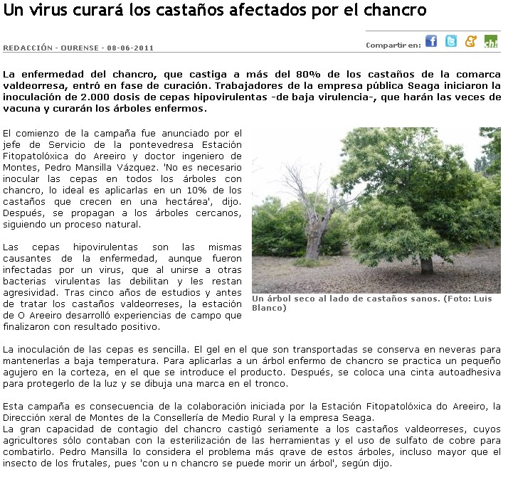 Un virus curar os castieiros afectados polo chancro