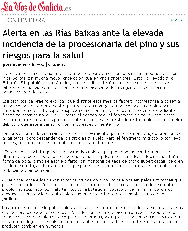 Alert in the Rías Baixas due to the high incidence of the pine processionary caterpillar and the potential risks for health