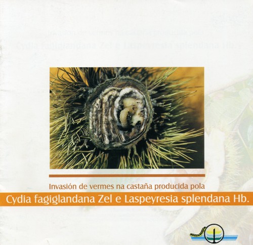 Invasión de vermes na castaña producida pola Cydia fagiglandana Zel e Laspeyresia splendana Hb.