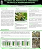 Influencia del fenotiol en el crecimento del fruto de Actinidia deliciosa (kiwi)