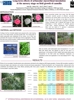 Seleccin de descriptores agromorfolgicos para la diferenciacin de cultivares antiguos de Camellia japonica
