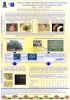 Primeros estudios de la diversidad y persistencia de nematodos entomopatgenos en suelos de castao en Galicia