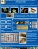 Ensaio de eficacia con nematodos entomopatxenos para o control de carpfagos do castieiro