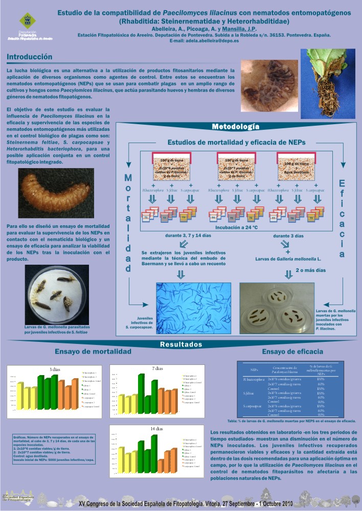 Estudo da compatibilidade de Paecilomyces lilacinus con nematodos entomopatxenos (Rhabditida: Steinernematidae e Heterorhabditidae)
