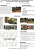 Estudio de los estados fenolgicos de distintos cultivares de Feijoa sellowiana Berg